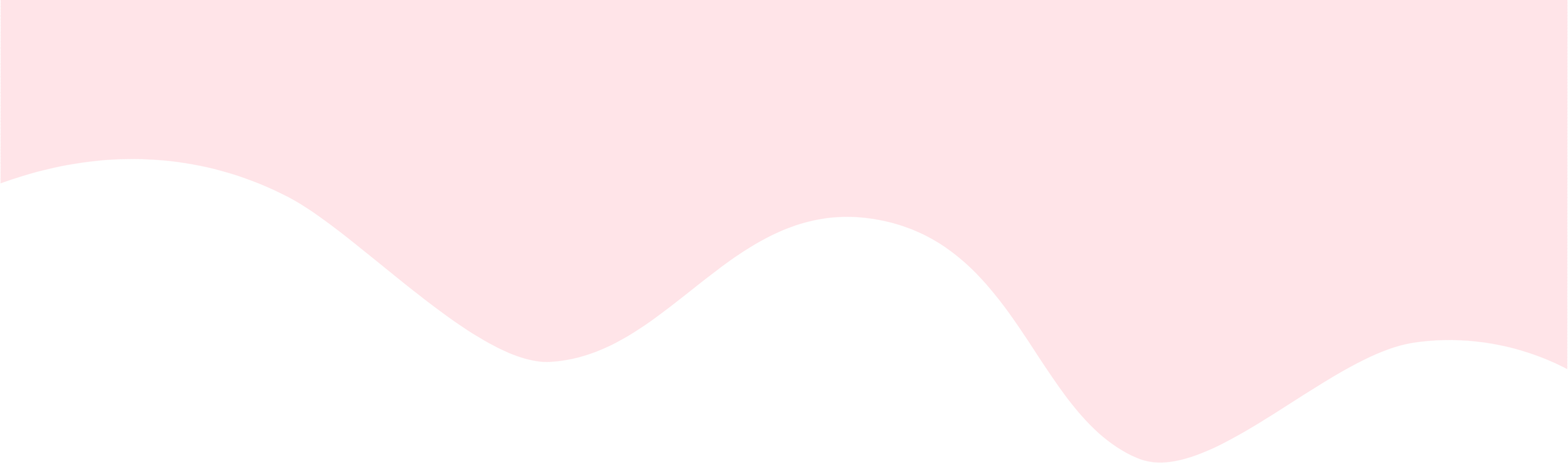 Top Shape
